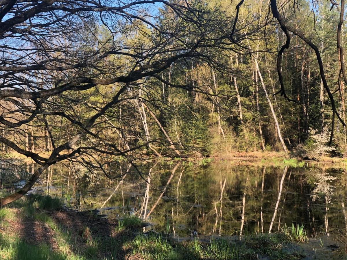 Safar Residence Hrachoviste Zewnętrze zdjęcie