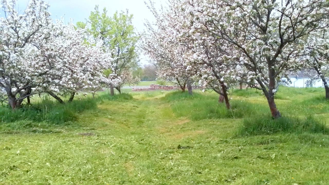 Safar Residence Hrachoviste Zewnętrze zdjęcie